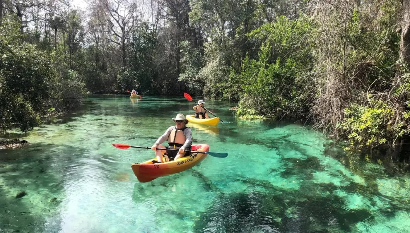 WeekiWachee-JillLingard2 (2).jpg