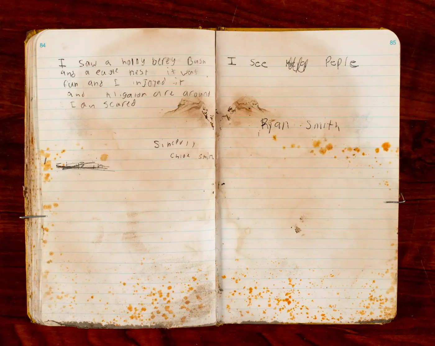 CT-LogBook2_79,80.jpg