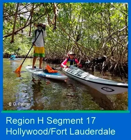 Segment 17.jpg