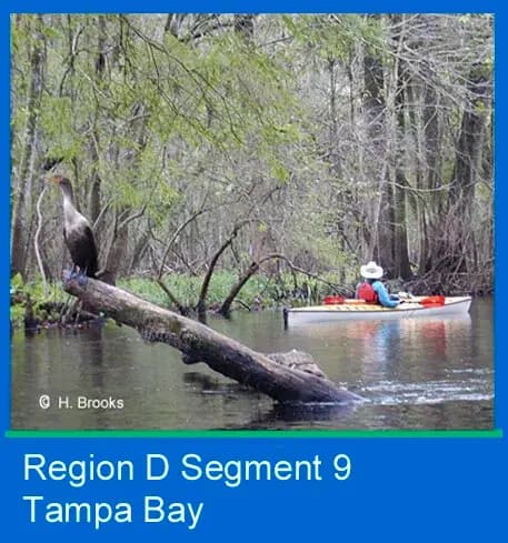 H. Brooks Region D Segment 9.jpg