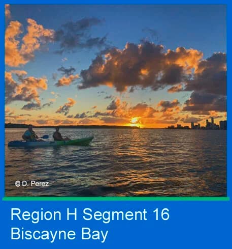 Segment 16.jpg