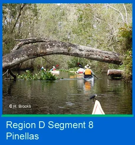H. Brooks Region D Segment 8.jpg